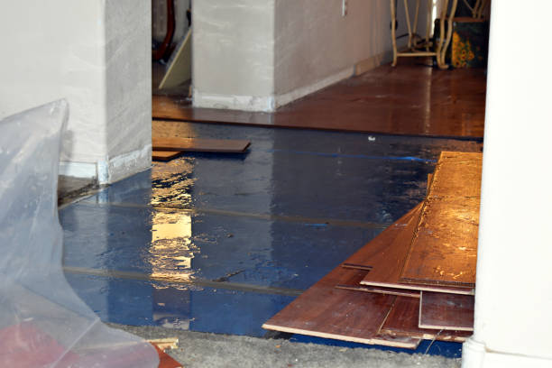 Professional Basement Flood Cleanup technician working in North Chatham, NY